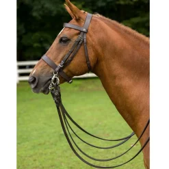 Henri de Rivel Polo Bridle
