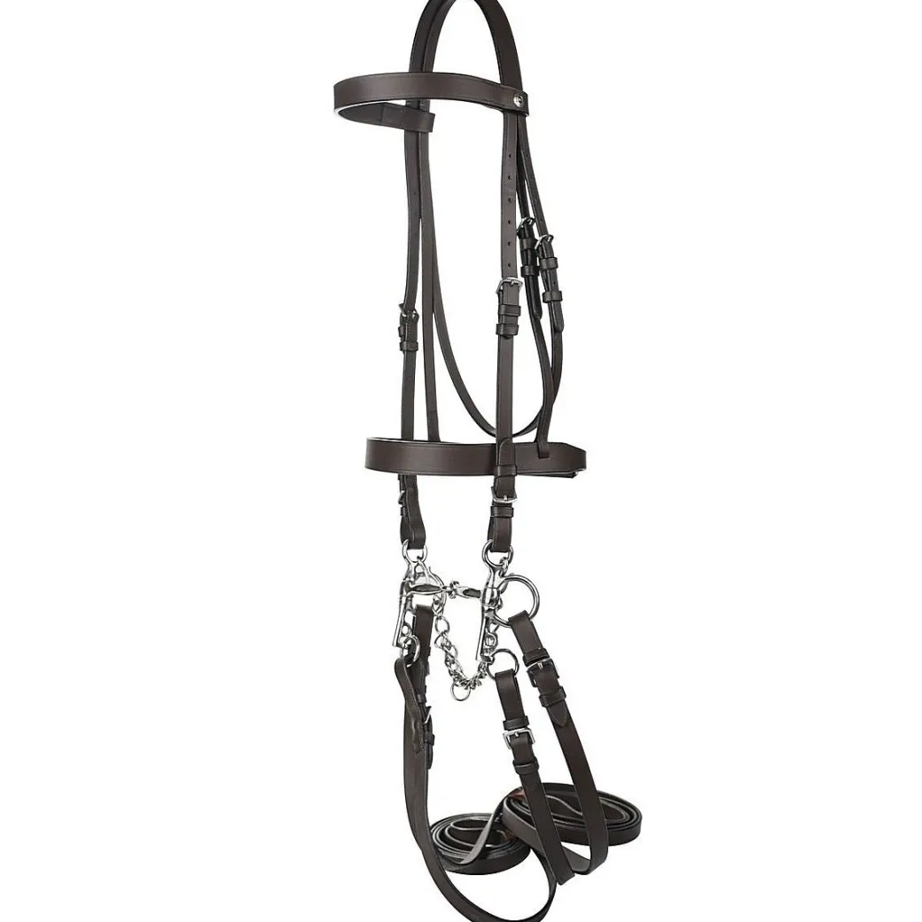 Henri de Rivel Polo Bridle