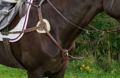 Henri de Rivel Pro 5-Point Elastic Breastplate