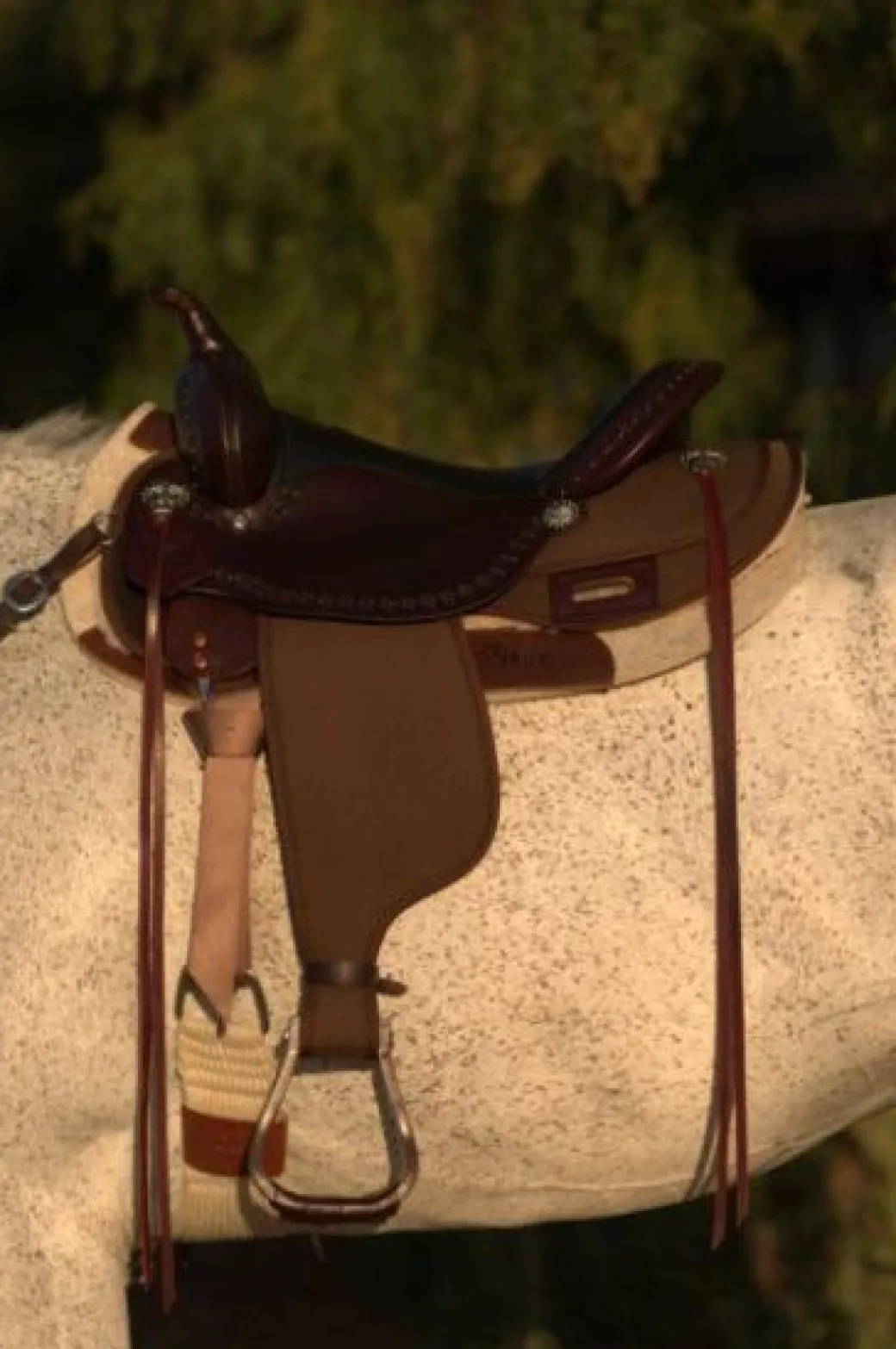 High Horse Daisetta Cordura Trail Saddle 6914