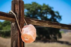 Himalayan Rock Salt on Rope