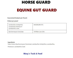 Horse Guard Equine Gut Guard