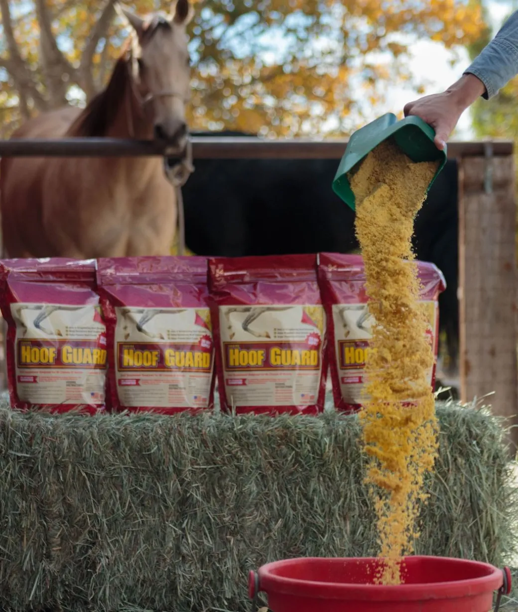 Horse Guard Equine Hoof Guard