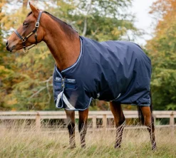 Horseware Amigo Bravo 12 Medium Turnout 250g