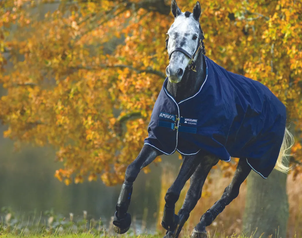 Horseware Amigo Bravo 12 Original Rain Sheet