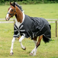 Horseware Amigo 1200D Turnout 250g