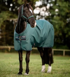 Horseware Amigo 900D Turnout 0g