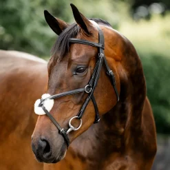 Horseware Figure 8 Bridle