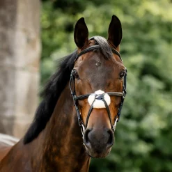 Horseware Figure 8 Bridle