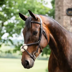 Horseware Figure 8 Bridle