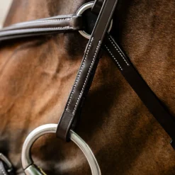 Horseware Figure 8 Bridle