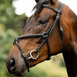 Horseware Figure 8 Bridle