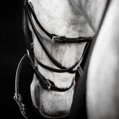 Horseware Micklem Bitless Bridle