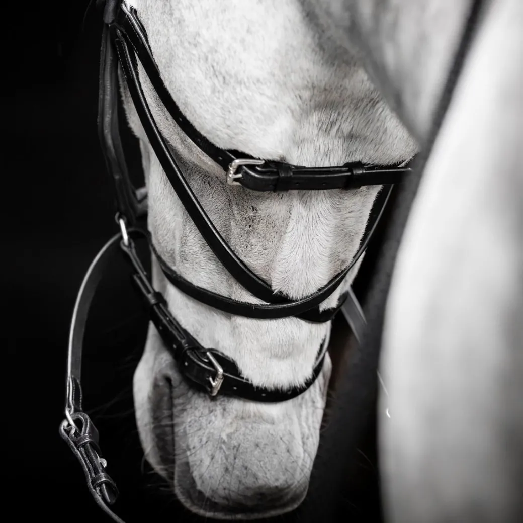Horseware Micklem Bitless Bridle