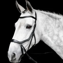 Horseware Micklem Bitless Bridle