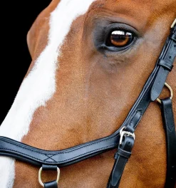 Horseware Micklem 2 Competition Bridle