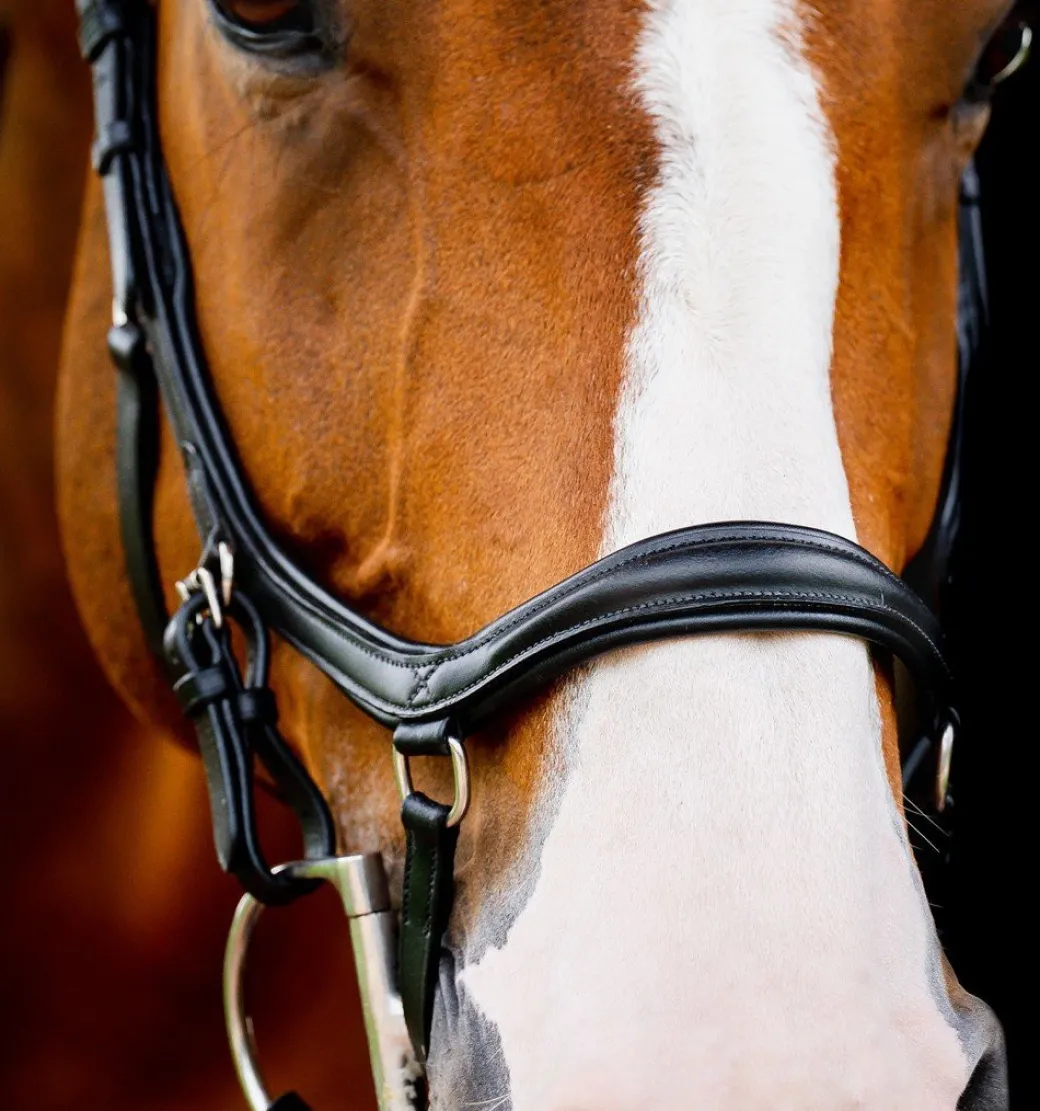 Horseware Micklem 2 Deluxe Competition Bridle