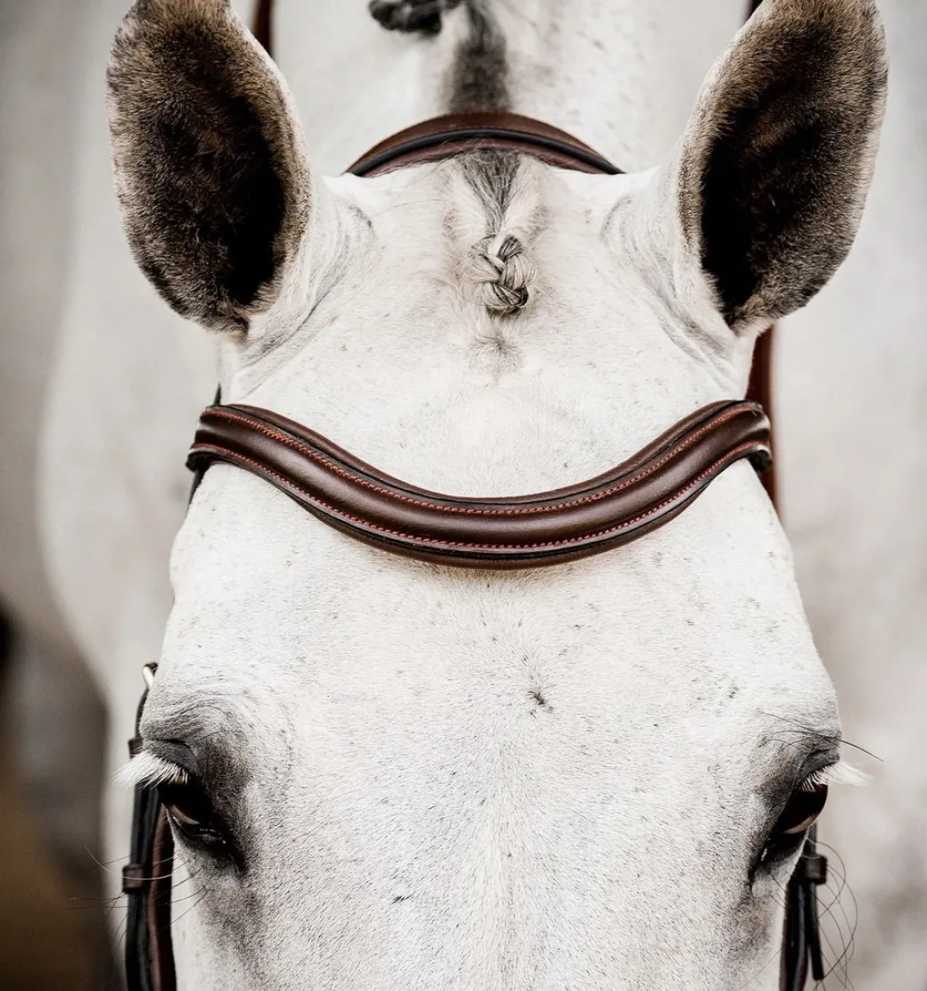 Horseware Micklem 2 Deluxe Competition Bridle