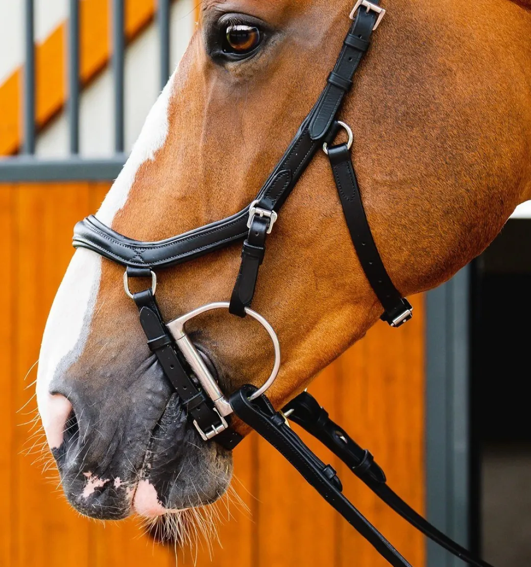 Horseware Micklem 2 Deluxe Competition Bridle