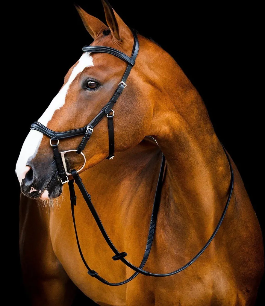 Horseware Micklem 2 Deluxe Competition Bridle