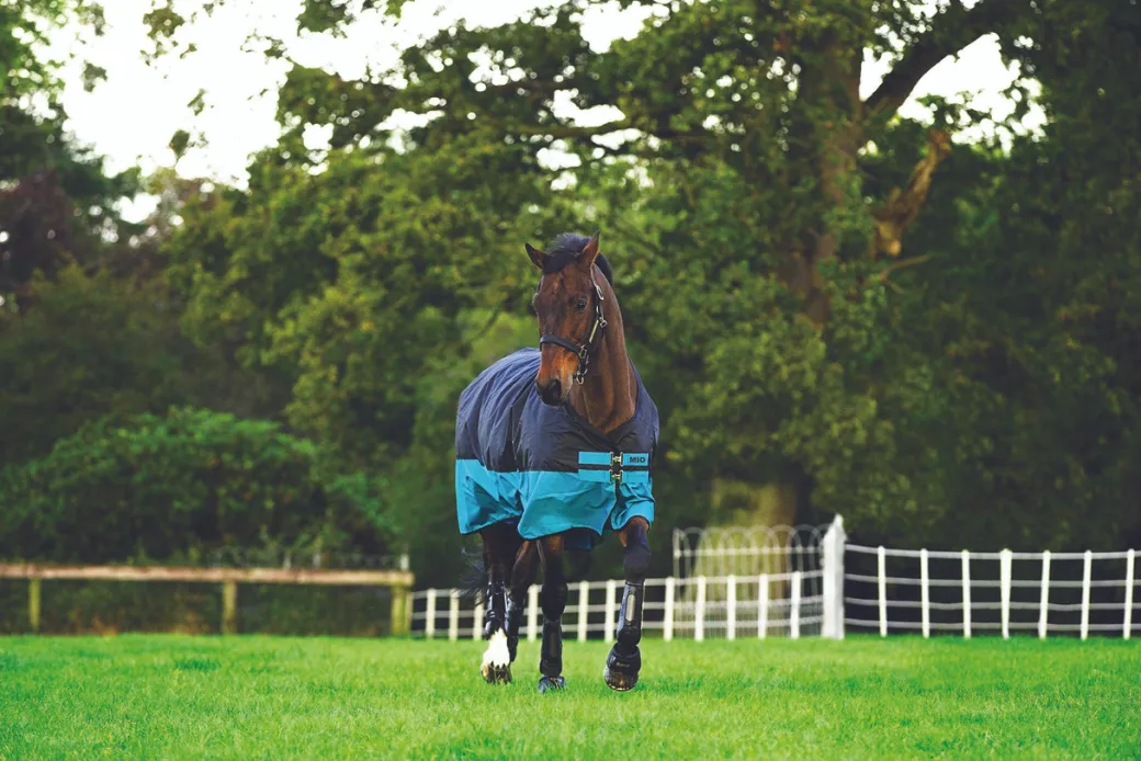 Horseware Mio Pony Rainsheet