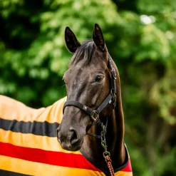 Horseware Newmarket Halter + Lead Rope