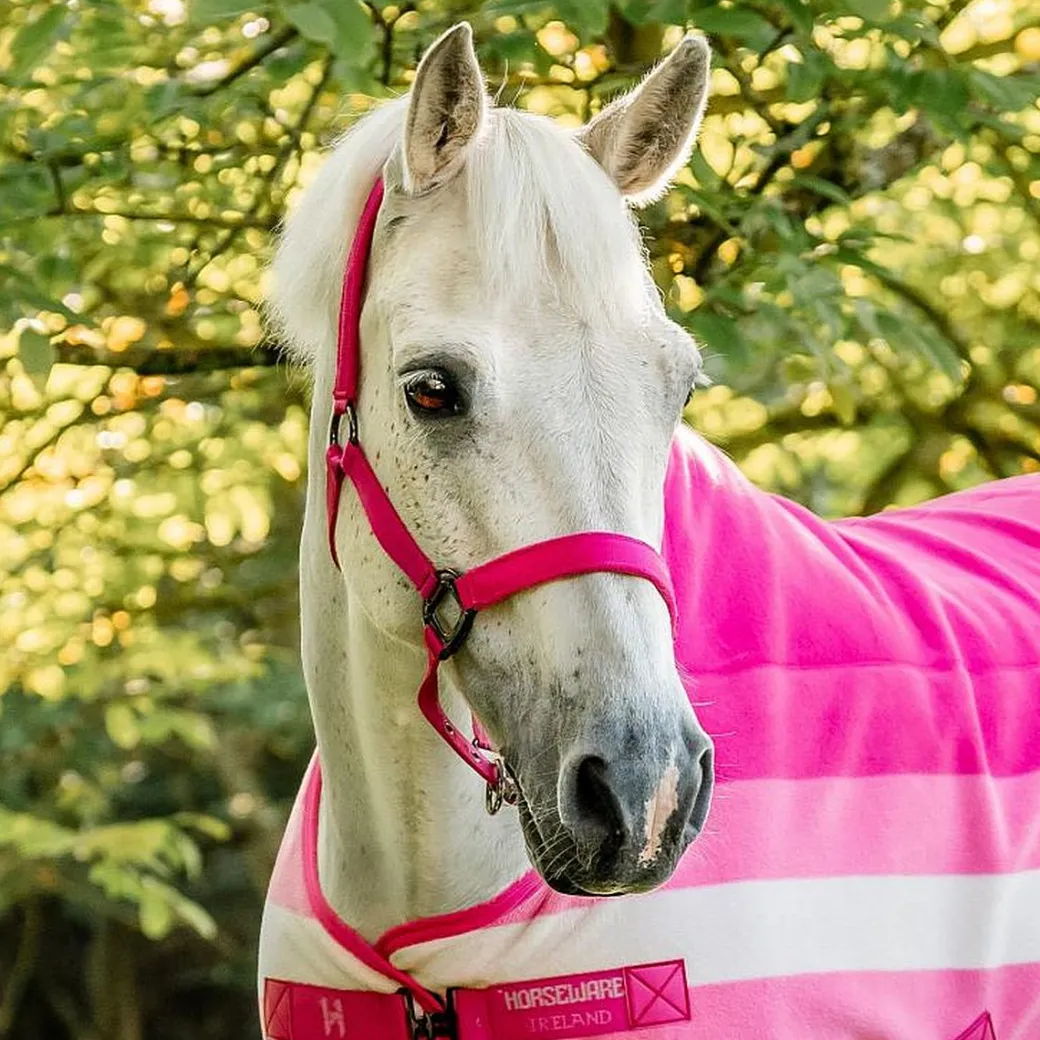 Horseware Newmarket Halter + Lead Rope