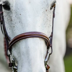 Horseware Pony Hunter Cavesson Bridle with Reins
