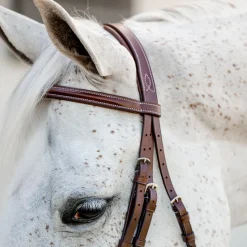 Horseware Pony Hunter Cavesson Bridle with Reins