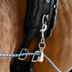 Horze Lunging Aid