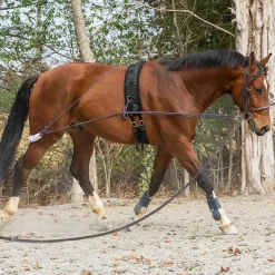 Horze Lunging Aid