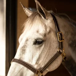 Huntley Triple Stitch Leather Halter