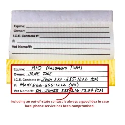 I.C.E. Clip-On ID Tag