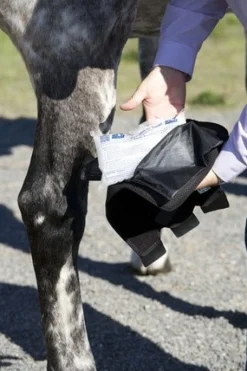 Ice Horse Hock Wraps with Inserts - PAIR