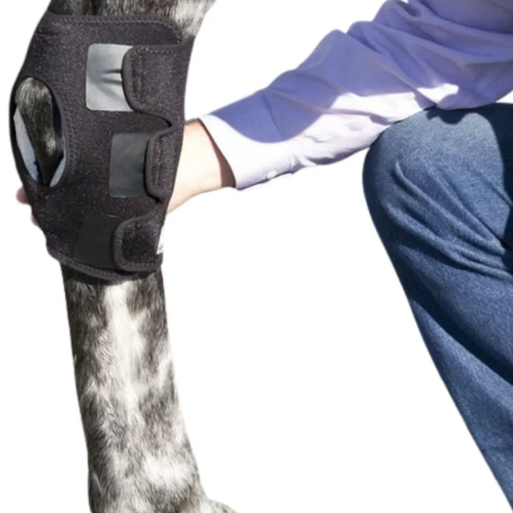 Ice Horse Hock Wrap with Inserts - SINGLE