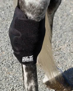 Ice Horse Hock Wrap with Inserts - SINGLE