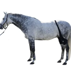 Ice Horse Stifle Wrap