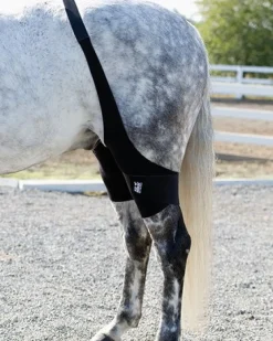 Ice Horse Stifle Wrap