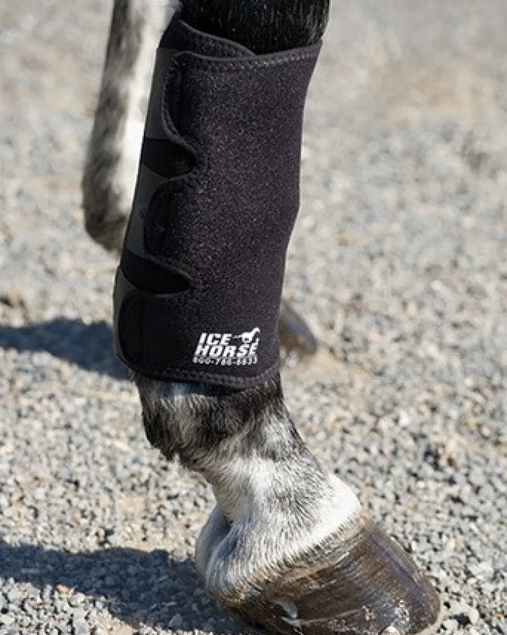 Ice Horse Tendon Wrap with Inserts - SINGLE