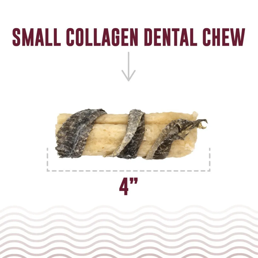 Icelandic+ Collagen Dental Chews with Cod Skin