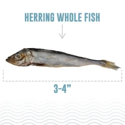 Icelandic+ Herring Whole Fish Dog Treats