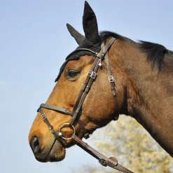 In Horse We Trust Bridle Evolution