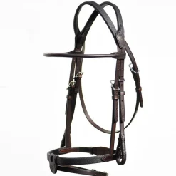 In Horse We Trust Bridle Evolution