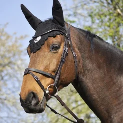 In Horse We Trust Bridle Evolution