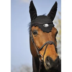 In Horse We Trust Bridle Evolution