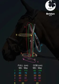 In Horse We Trust Bridle Evolution