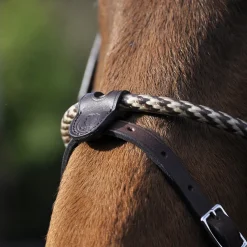 In Horse We Trust Coated Rope Noseband