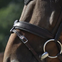 In Horse We Trust Contact Noseband with Flash