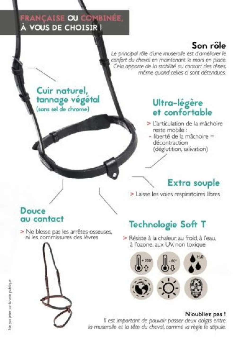 In Horse We Trust Flash Noseband with Crown