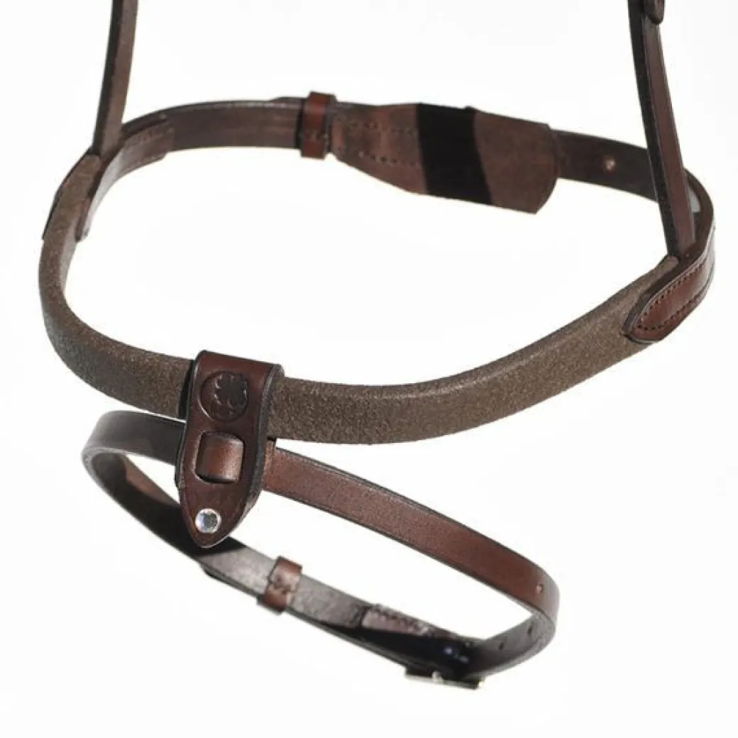 In Horse We Trust Flash Noseband with Crown